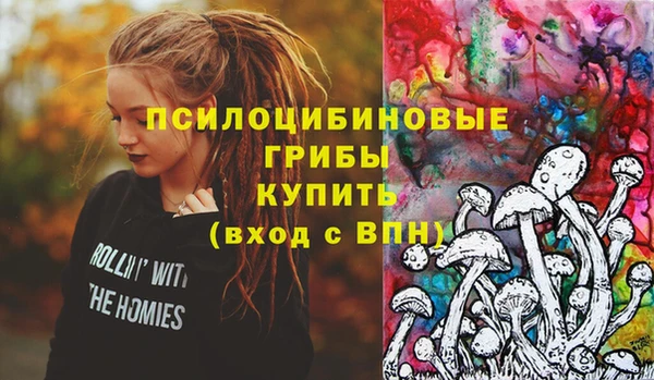 каннабис Аркадак